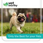 Vet Worthy Pet Potty Hydrant for Dogs - Scented Training Aid - Ideal for All Ages - Helps Dogs Track Designated Potty Spot - For a Cleaner Lawn and Safe for Dogs