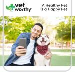 Vet Worthy Pet Potty Hydrant for Dogs - Scented Training Aid - Ideal for All Ages - Helps Dogs Track Designated Potty Spot - For a Cleaner Lawn and Safe for Dogs