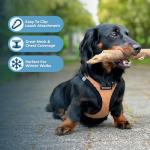 Best Pet Supplies - All Weather Mesh / Plush, Reflective, No Pull Harness for Small, Medium Dogs, Cats - Secure with Hook & Loop Fastener, Buckle, Double D-Rings - Beige Plush, XS