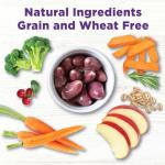 Wellness Bowl Boosters, Dog Food Topper for Small, Medium, & Large Breeds, Grain Free, Natural, Freeze Dried, Skin & Coat Health Chicken, 4 Ounce Bag (Pack of 1)