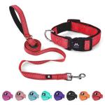 NESTROAD Reflective Dog Collar and Leash Set,Soft Neoprene Pet Collar with Quick Release Buckle,Adjustable Nylon Dog Collars for Small Medium Large Dogs(Small Collar + 5FT Leash,Red)