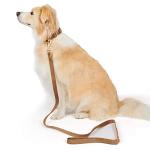 Ewinoom Soft Corduroy Dog Collar and Leash Set Adjustable Durable Dog Collars with Metal Buckle and Lead for Medium Dogs,Brown