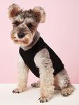 Puppy Dog Shirt Dog Summer Clothes Pet Dogs Shirts XS Dog T Shirt Yorkie Clothes Chihuahua Clothes, Medium, Black