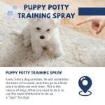 Die-matic Potty Training Spray for Dogs,Puppy Potty Training Spray,Address Canine Inappropriate Elimination Habits | Proven HousebreakiHousebreng Methods for Indoor & Outdoor Environments 3.51 Oz