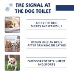 Die-matic Potty Training Spray for Dogs,Puppy Potty Training Spray,Address Canine Inappropriate Elimination Habits | Proven HousebreakiHousebreng Methods for Indoor & Outdoor Environments 3.51 Oz