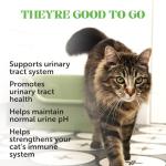 Cat Urinary Tract Health Crunchy & Creamy Chews - Promotes Healthy Digestion & Normal Bladder Function with Cranberry, Antioxidants, & Probiotics - Gut + Bladder Support Supplement (30 Day Supply)