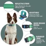 Roses&Poetry Bluegreen Medium Dog Collar and Leash Set, Puppy Reflective Leashes with Collars, Adjustable Durable Matching Collar Leash for Medium Dogs Girl (Bluegreen-M)