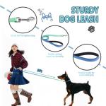 Roses&Poetry Bluegreen Medium Dog Collar and Leash Set, Puppy Reflective Leashes with Collars, Adjustable Durable Matching Collar Leash for Medium Dogs Girl (Bluegreen-M)