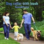 Roses&Poetry Bluegreen Medium Dog Collar and Leash Set, Puppy Reflective Leashes with Collars, Adjustable Durable Matching Collar Leash for Medium Dogs Girl (Bluegreen-M)