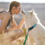 Roses&Poetry Bluegreen Medium Dog Collar and Leash Set, Puppy Reflective Leashes with Collars, Adjustable Durable Matching Collar Leash for Medium Dogs Girl (Bluegreen-M)