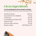 Cat Urinary Tract Health Crunchy & Creamy Chews - Promotes Healthy Digestion & Normal Bladder Function with Cranberry, Antioxidants, & Probiotics - Gut + Bladder Support Supplement (30 Day Supply)