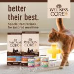 Wellness CORE+ Adult Dry Cat Food for Indoor and Outdoor Cats, Wholesome Grains, Natural, Digestive Health Chicken & Rice (11 Pound Bag)