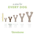 Benebone Wishbone Durable Dog Chew Toy for Aggressive Chewers, Made in USA, Small, Real Bacon Flavor