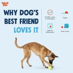 WEST PAW Toppl Tough Dog Chew Toy Blue (Large)