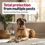 Amazon Basics Flea and Tick Topical Treatment for X-Large Dogs (89-132 Pounds), 6 Count, Packaging May Vary