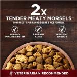 Purina ONE True Instinct With Real Salmon and Tuna Natural With Added Vitamins, Minerals and Nutrients High Protein Dog Food Dry Formula - 27.5 lb. Bag