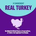 Wellness Complete Health Pate Adult Wet Cat Food, Natural, Protein-Rich, Grain Free, 3 Ounce, 24 Pack, (Turkey)