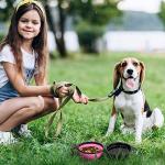 Dog Bowl Pet Collapsible Bowls, 2 Pack Collapsible Dog Water Bowls for Cats Dogs, Portable Pet Feeding Watering Dish for Walking Parking Traveling with 2 Carabiners (Small, Black & Pink)