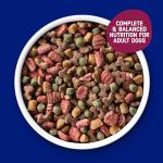 Kibbles 'n Bits Dry Dog Food, Savory Bacon & Steak Flavor for Adult Dogs 16 lb. Bag