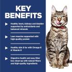 Hill's Science Diet Indoor, Senior Adult 7+, Easy Litter Box Cleanup, Dry Cat Food, Chicken Recipe, 7 lb Bag