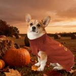 PAYHTOW Thanksgiving Dog Sweater, Knitted Dog Thanksgiving Fall Holiday Sweaters Outfit Clothes for Small Medium Large Dogs Pets (Pumpkin, X-Large)