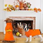 GOYOSWA Dog Thanksgiving Sweater, Knitted Thanksgiving Fall Holiday Dog Sweaters Outfit Clothes for Small Medium Large Dogs Pets (Orange Maple Leaf, X-Large)