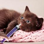 5 Sets Puppy Kitten Feeding Tube Kit Includes 10 pcs FR transparent Rubber Feeding Tubes and 5 Pcs 5 ml Clear Syringe Kitten Syringe Feeding Supplies Feeding Tube Syringes Tool for Small Animals