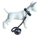 NISIYE Cute Plaid Dog Collar Harness and Leash with Safety Buckle - Adjustable and No Pull Comfortable Dog Collars for Small Puppy, Stylish Durable Gift for Boy Girl Pets