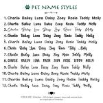 Ultra Joys Cat ID Tag Personalized Pet Tags, Durable Stainless Steel Small Pet Mini Dog Cat Tag Lightweight - Fish Tag in Silver
