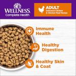 Wellness Complete Health Adult Dry Cat Food for Indoor and Outdoor Cats, Grain Free, Natural, Chicken & Chicken Meal (11.5 Pound Bag)