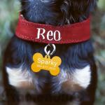 Framendino, 48 Pack Colorful Blank Pet Id Tag Aluminum Dog Cat Tags Round Heart Star Bone House Rectangle Personalized Engraved Name Discs