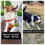 MewaJump Dog Squeaky Chew Toys for Aggressive Chewers, Rubber Carrot Dog Toys for Training and Cleaning, Durable Interactive Tough Dog Toy for Puppy Medium Dogs