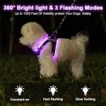 Light Up Dog Harness,Rechargeable LED Dog Harness for Small Medium Large Dogs,Reflective Lighted Safety Vest for Night Walking & Camping,Lightweight & Adjustable,Purple,S