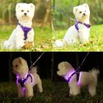 Light Up Dog Harness,Rechargeable LED Dog Harness for Small Medium Large Dogs,Reflective Lighted Safety Vest for Night Walking & Camping,Lightweight & Adjustable,Purple,S