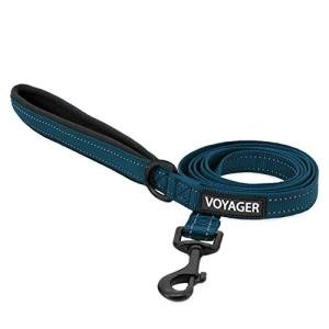 Best Pet Supplies Voyager Reflective Dog Leash or Collar with Neoprene Handle, for Small, Medium, and Large Breed Puppies, Cute and Heavy Duty for Walking, Running and Training - Blue (Leash), S