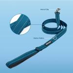 Best Pet Supplies Voyager Reflective Dog Leash or Collar with Neoprene Handle, for Small, Medium, and Large Breed Puppies, Cute and Heavy Duty for Walking, Running and Training - Blue (Leash), S