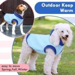 XS Hoodie for Small Dogs – Blue Puppy Lightweight Sweater | Color Block Sweatshirt with Hood and Leash Hole, Warm for Home & Outdoor Use,Pet Chihuahua Clothes