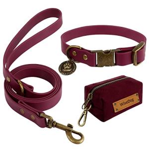 Wisedog Dog Collar and Leash Set, Waterproof Adjustable Puppy Collars with Cute Tag 5FT Dog Leash with Poop Bag for Small Medium Large Dogs (M, Burgundy)
