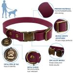 Wisedog Dog Collar and Leash Set, Waterproof Adjustable Puppy Collars with Cute Tag 5FT Dog Leash with Poop Bag for Small Medium Large Dogs (M, Burgundy)