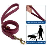 Wisedog Dog Collar and Leash Set, Waterproof Adjustable Puppy Collars with Cute Tag 5FT Dog Leash with Poop Bag for Small Medium Large Dogs (M, Burgundy)