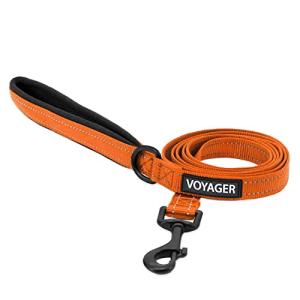 Best Pet Supplies Voyager Reflective Dog Leash or Collar with Neoprene Handle, for Small, Medium, and Large Breed Puppies, Cute and Heavy Duty for Walking, Running and Training - Orange (Leash), S