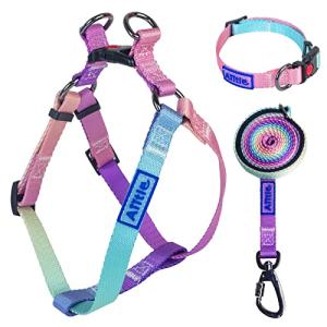 AIITLE Easy Walk Dog Harness Collar Leash Set - Adjustable Basic Collar Heavy Duty Leash - No Pull Halter Harness - Outdoor Training Running for Medium Dogs, Pink Gradient M