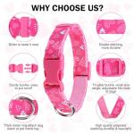 DILLYBUD Dog Collar and Leash Set, Adjustable Dog Collars for Small Medium Dogs Boys Girls, Soft Durable Pink Nylon Collar and Matching Leash, Cute Puppy Collars, M