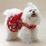 PUPTECK Print Dog Dress Pet Apparel for Christmas with Cute Bowtie Puppy Clothes Outfit, Deer, XS