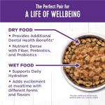 Wellness Complete Health Minced Adult Wet Cat Food, Natural, Protein-Rich, Grain Free, 3 Ounce, 24 Pack, (Turkey Entrée)