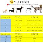 Elegant little tail Dog Collar with Leash, Sunflower Print Pet Collar Leash Adjustable Collar for Small Medium Large Dogs Soft Puppy Collars with Quick Release Buckle Girl Boy Dog Collars