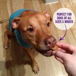 Wellness WellBars Dog Treats, Natural, Training Treat, Grain Free, Crunchy Yogurt, Apples & Banana (45 Ounce Bag)