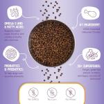 Health Extension Little Bites Chicken & Brown Rice Dry Dog Food (10 lb / 4.5 Kg) - Natural with Probiotics and Superfoods for Teacup, Toy & Small Breeds