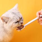 4 Pack Pet Supplies - Can Food Mixing Spoons, Canned Scoop for Cat & Dog Feeding, Wet Food Storage (Green + Gray)