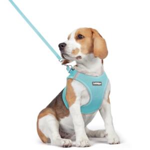 rabbitgoo Dog Harness Small Medium Sized and Leash Set, Step in Soft Light Puppy Vest, Breathable Mesh Pet Harness, Reflective for Safe Easy Walking, Mint Blue L